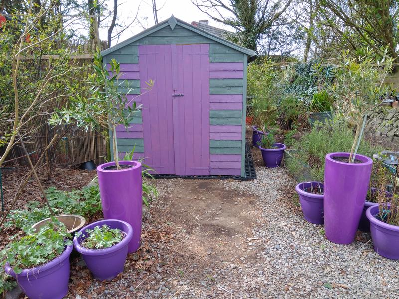 Traditional Timber Shed 8 x 6 Ft. (Windowless)